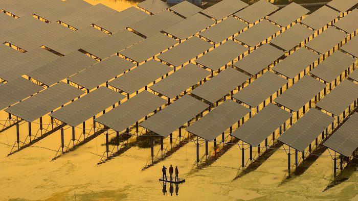     Workers inspect solar panels at the Fishing-Solar Complementary Photovoltaic Power Generation Base in Taizhou, east China's Jiangsu province, on July 12, 2023. 