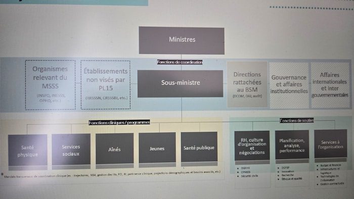 A table showing an organization chart.