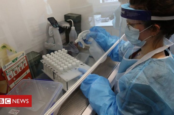 Coronavirus: 'Very significant' resurgences in Europe alarm WHO