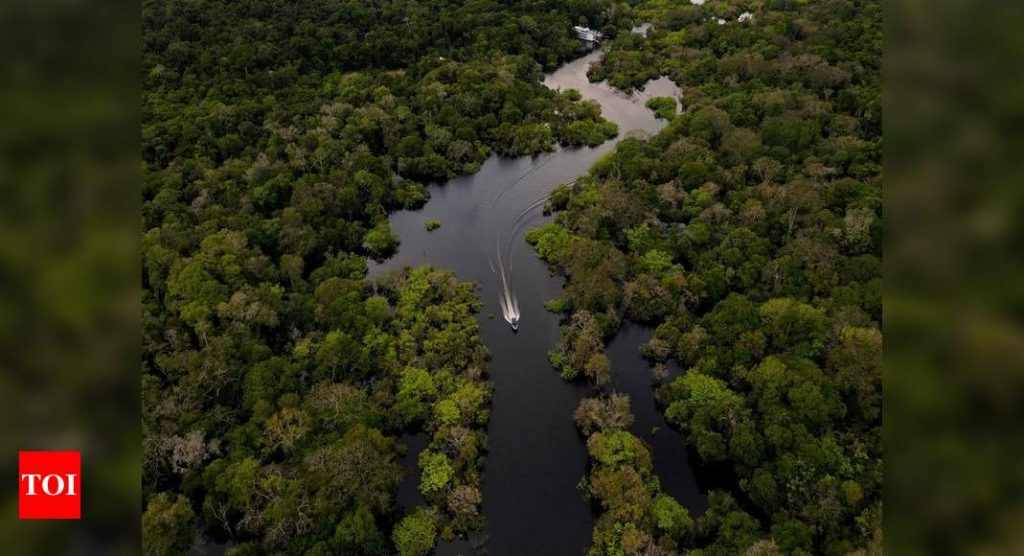 $4 trillion fund holders tell Brazil to halt deforestation