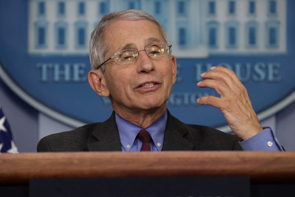 Fauci says 'real normality' in the US unlikely until next year