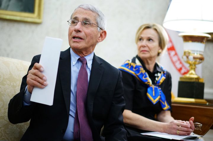 Fauci warns of coronavirus resurgence if states let guard down