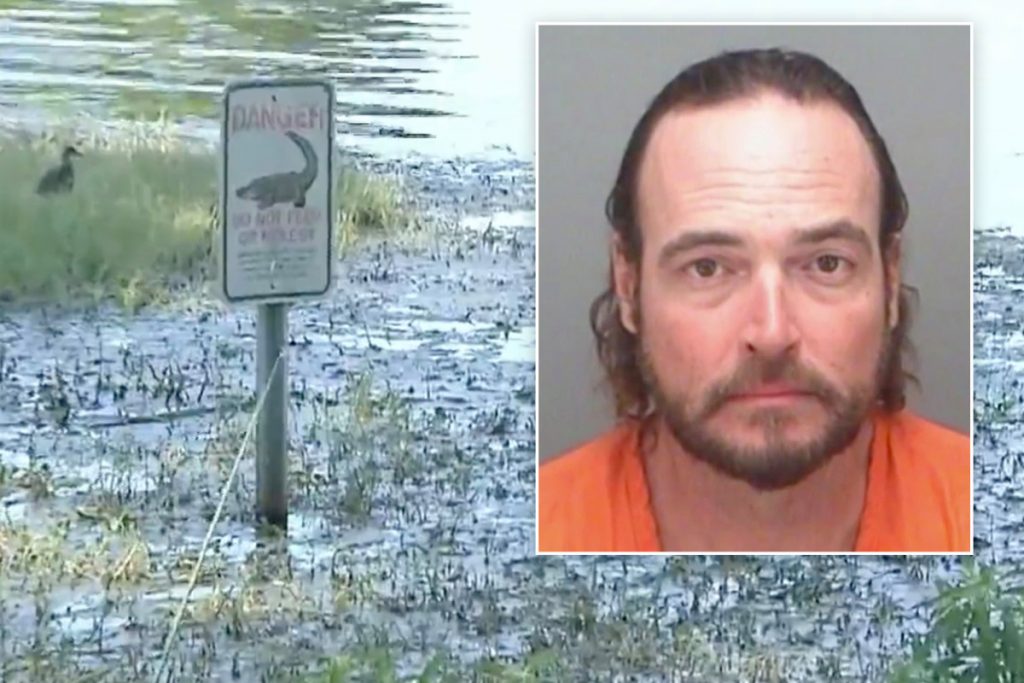 Florida man bitten in face by alligator playing disc golf