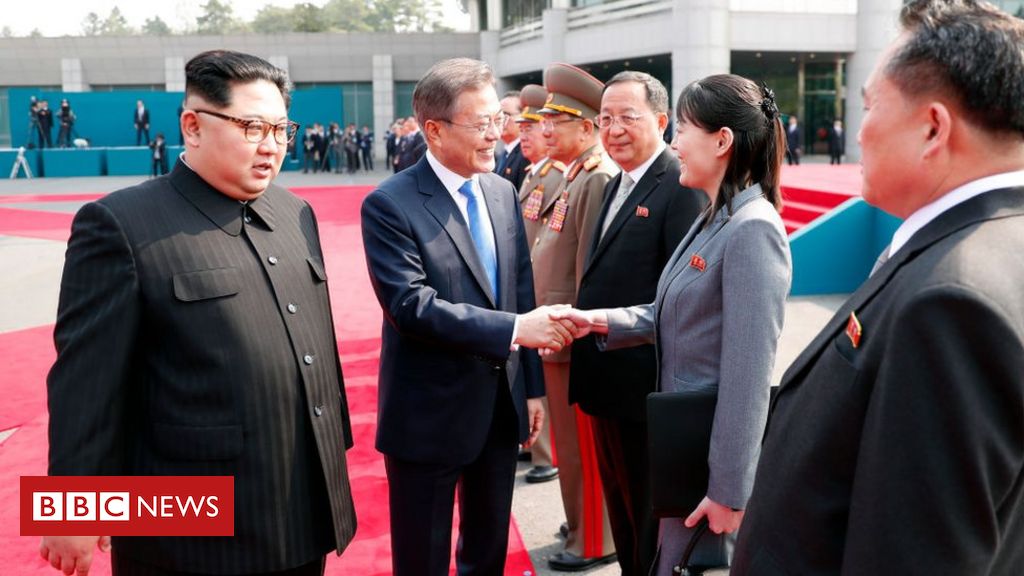 North Korea: Kim Jong-un 'suspends military action' against South