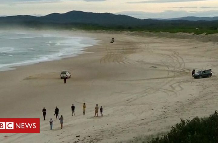 Shark kills teenage surfer in Australia's New South Wales