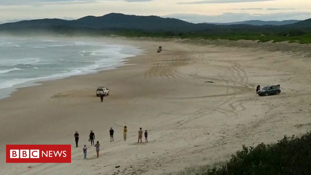 Shark kills teenage surfer in Australia's New South Wales