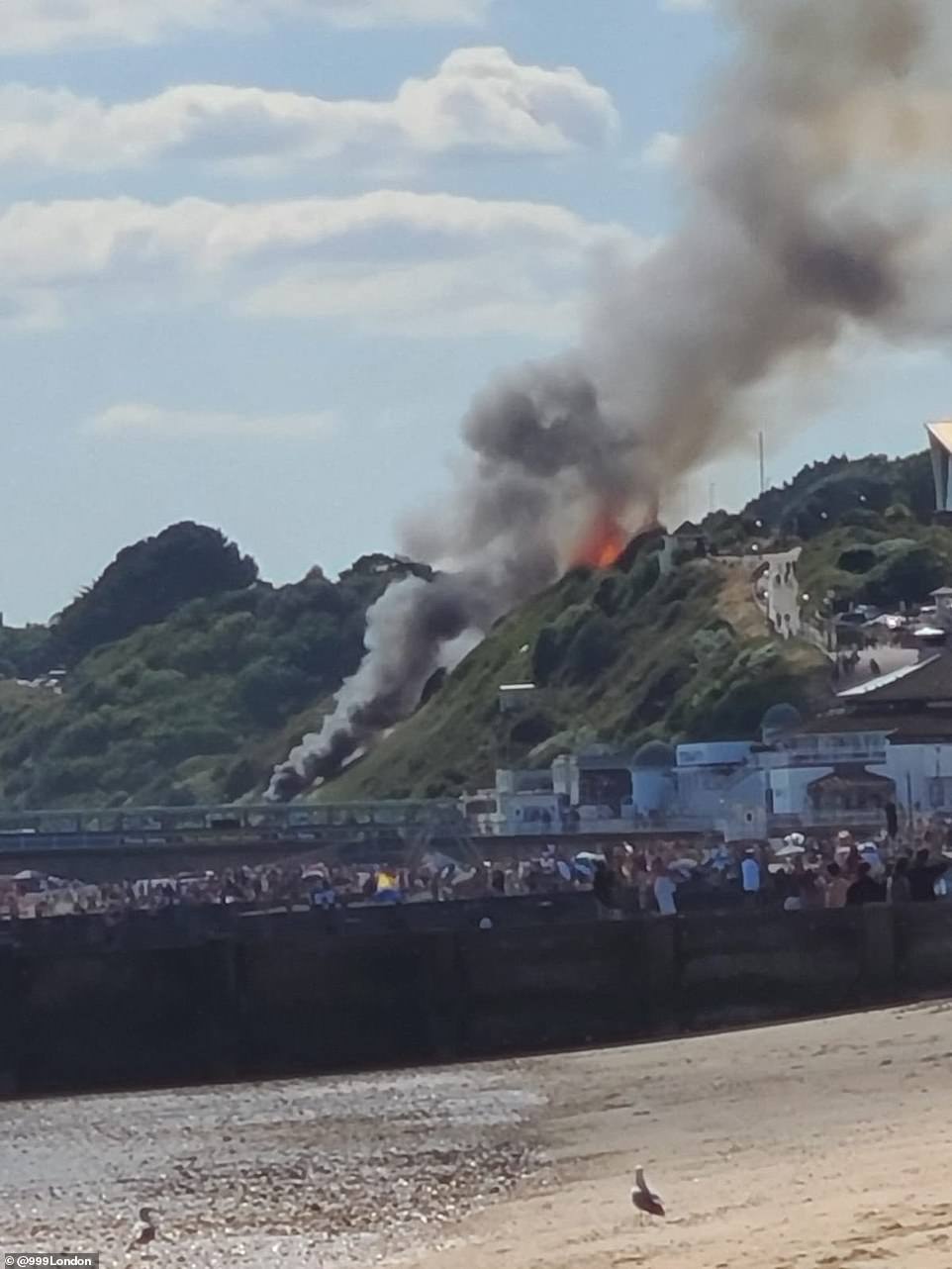 Dramatic pictures show an inferno ripping down a steep bank of trees adjacent to the sand