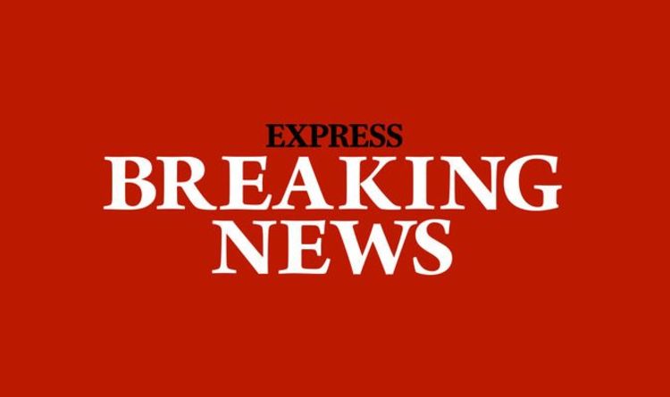 London stabbing: Man killed after person seen being bundled into vehicle | UK | News