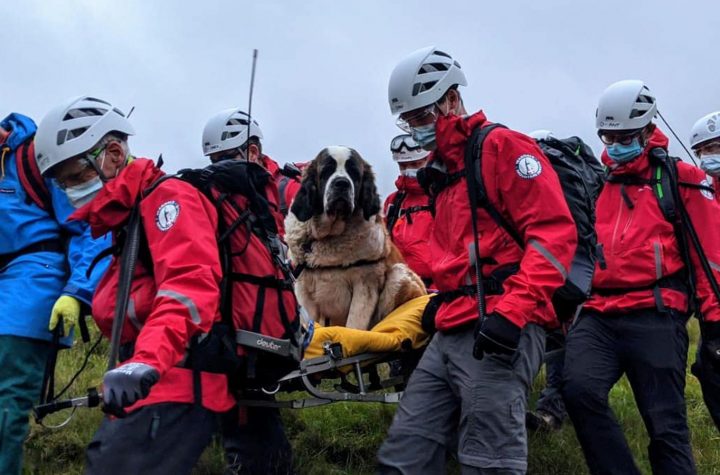 Daisy collapsed on the way down Scafell Pike. Pic: Wasdale Mountain Rescue Team