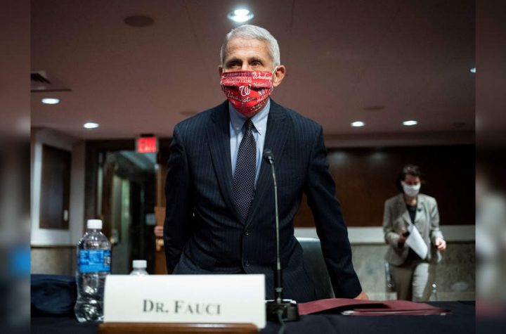 White House throws Fauci under the bus as pandemic punishes areas that reopened early