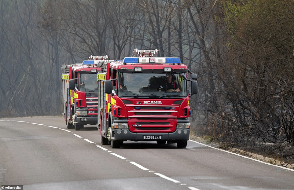 In a statement, Surrey Fire and Rescue Service said: 'Crews remain on scene at the fire on Chobham Common which spread to around 150 acres at its peak'