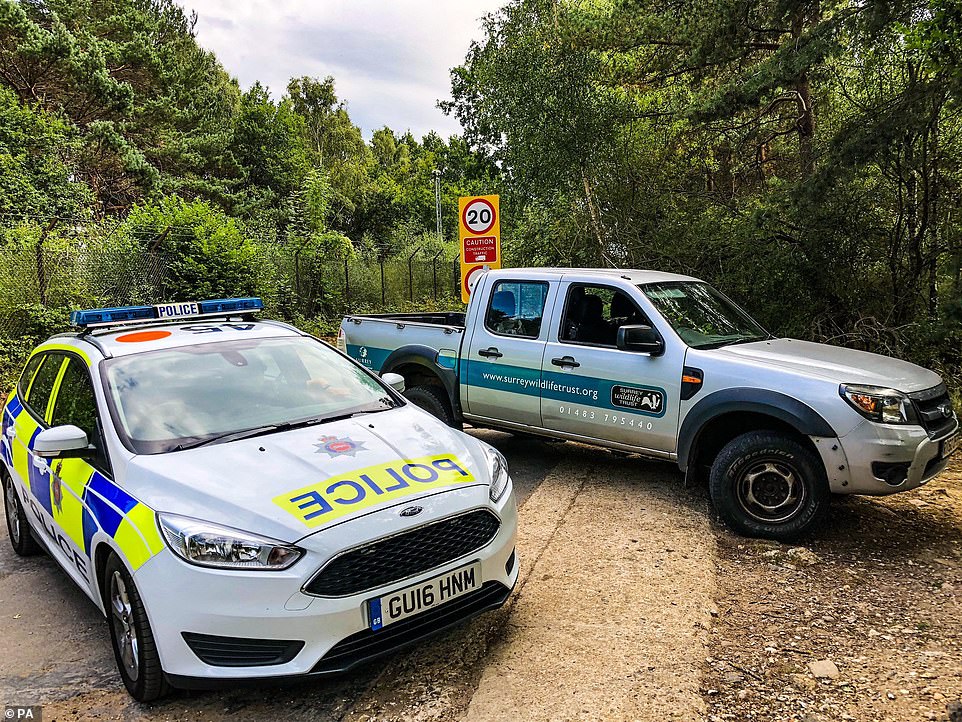 Police vehicles attend the blaze that began on Chobham Common, Surrey, and spread to Wentworth golf course