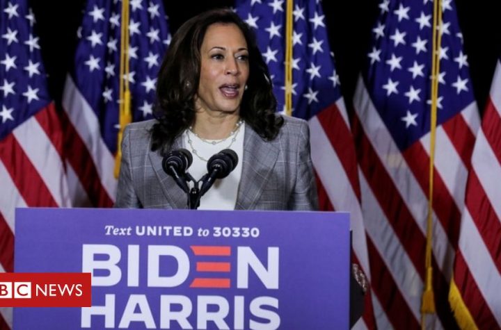 Trump stokes Kamala Harris 'birther' theory