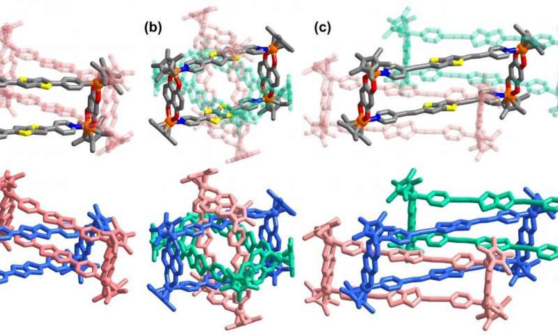 &quotAll-in-one&quot strategy for metalla[3]catenanes, borromean rings and ring-in-ring complex