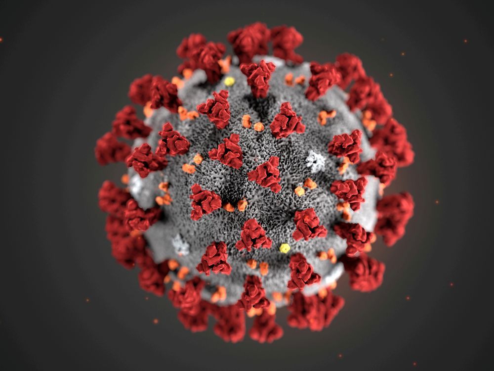 COVID-19 update for Aug. 24: Here's the latest on coronavirus in B.C.