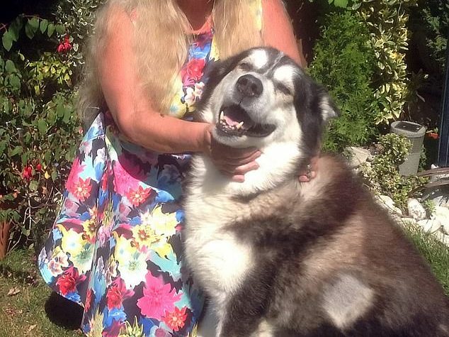 Mandy Hayes. from Gravesend in Kent, with her pet dog Mushka who she believes suffered from coronavirus after chewing on her used tissues while she was battling the infection