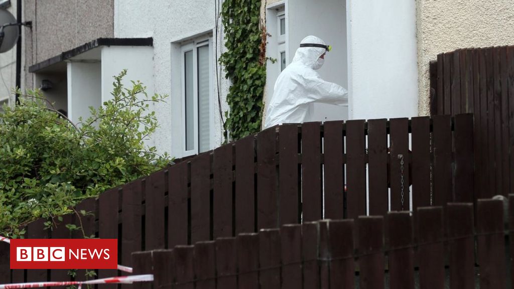 Newry: Woman found dead in Drumalane Park was from Poland