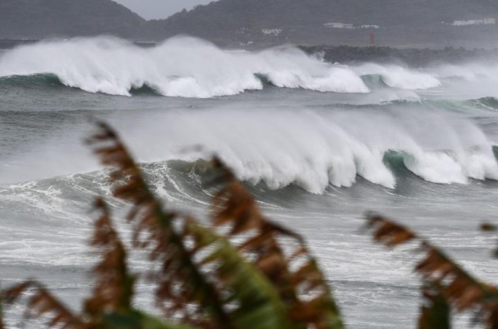 Typhoon Heishen: Powerful storm moves thousands of barrels towards Japan and Korean peninsula