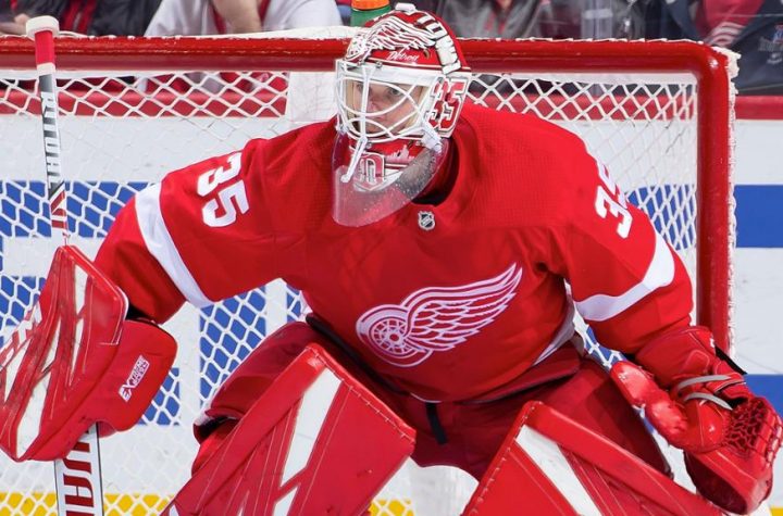 Howard 'probably' won't play for the Red Wings next season: Report