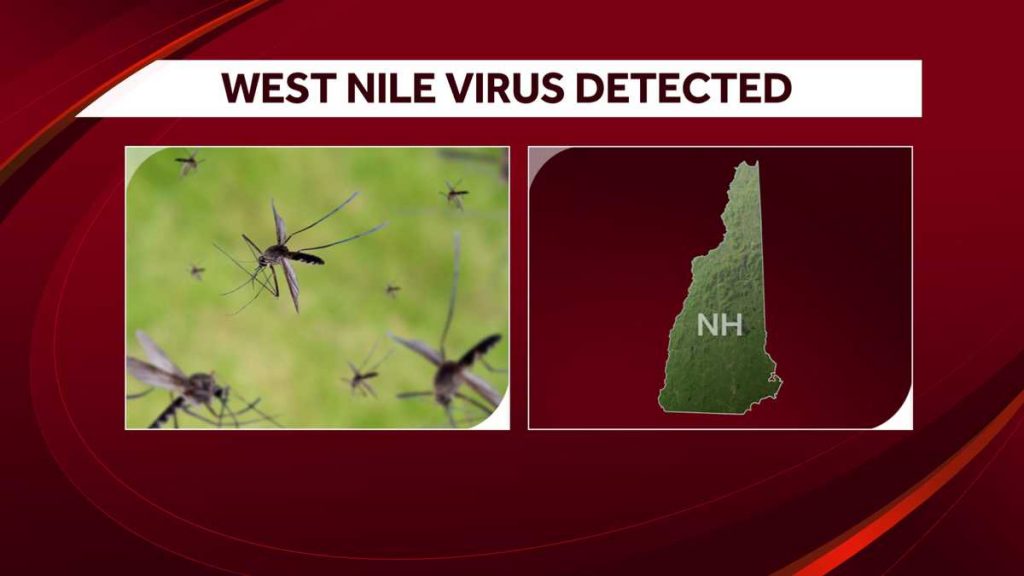 The West Nile virus was first detected in New Hampshire this season
