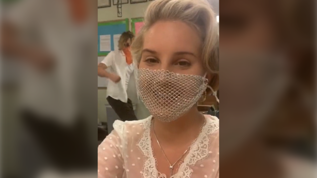 Lana Del Rey has been criticized for wearing a mesh face mask to meet fans