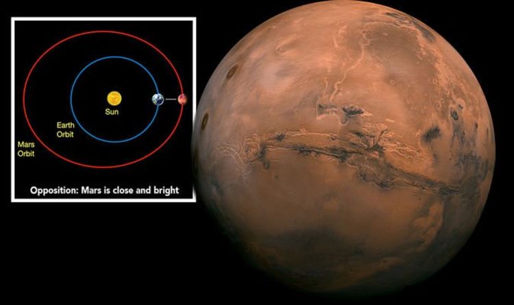 Mars Opposition 2020: How to see Mars against Earth next week?  |  Science |  News