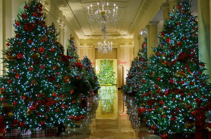 Melania Trump’s White House Holiday Decor highlights the workers in need