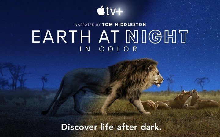 This 'Earth at Night in Color' trailer will make you roar even more