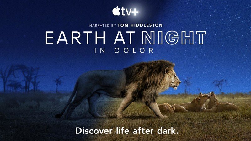 This 'Earth at Night in Color' trailer will make you roar even more