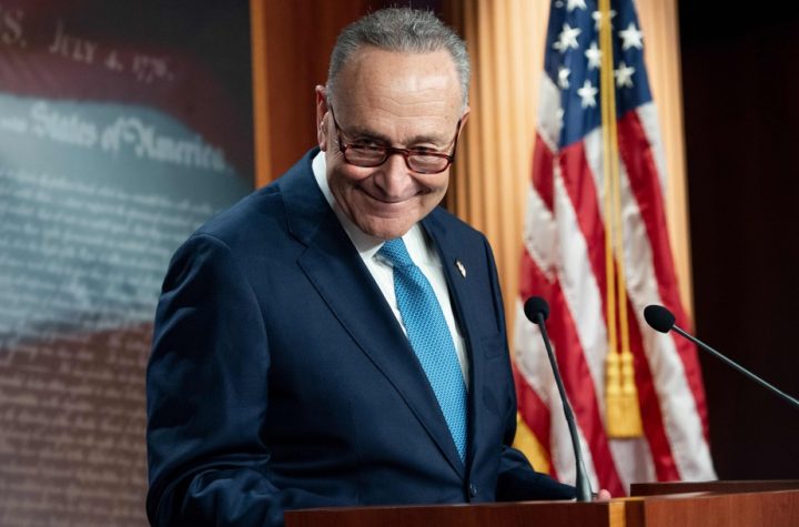 Democratic majority in the Senate |  Baptism by fire for Chuck Schumer