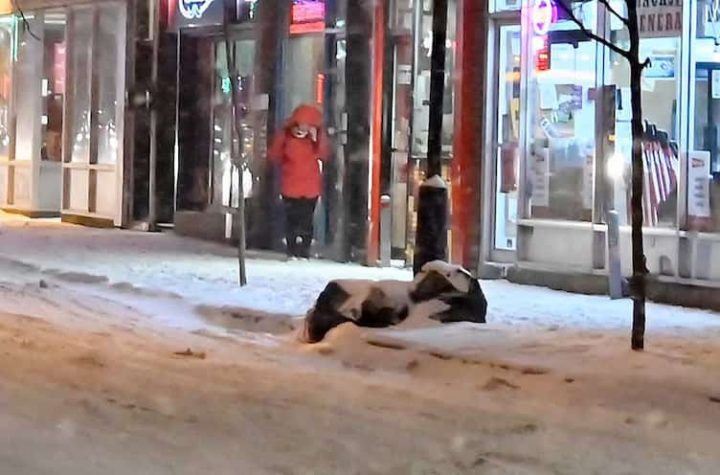 Curfew in Quebec, winter