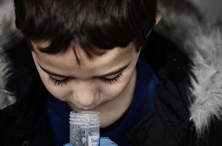 "It hurts less" than in the nose: a Gironde school is experimenting with saliva tests