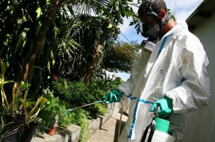 Dengue epidemic accelerates in Reunion with 758 cases a week -