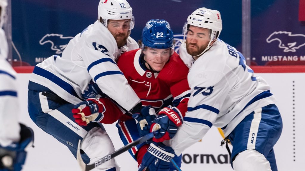 Canadian-Leafs: Fraudulent performances, Anderson argues