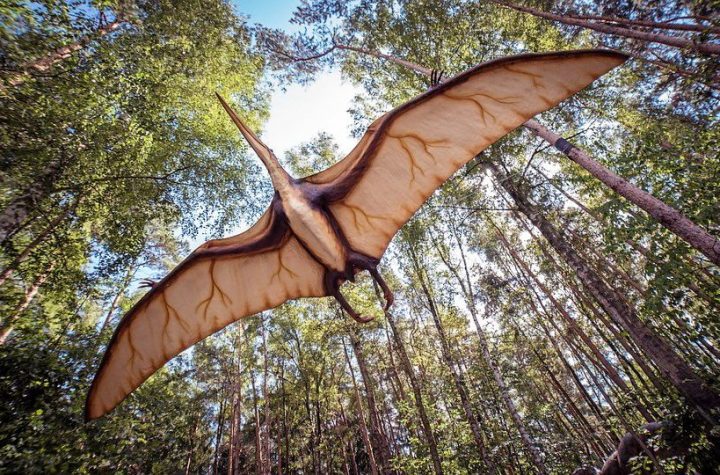 How the largest flying dinosaurs supported their huge necks |  Science |  News |  The sun