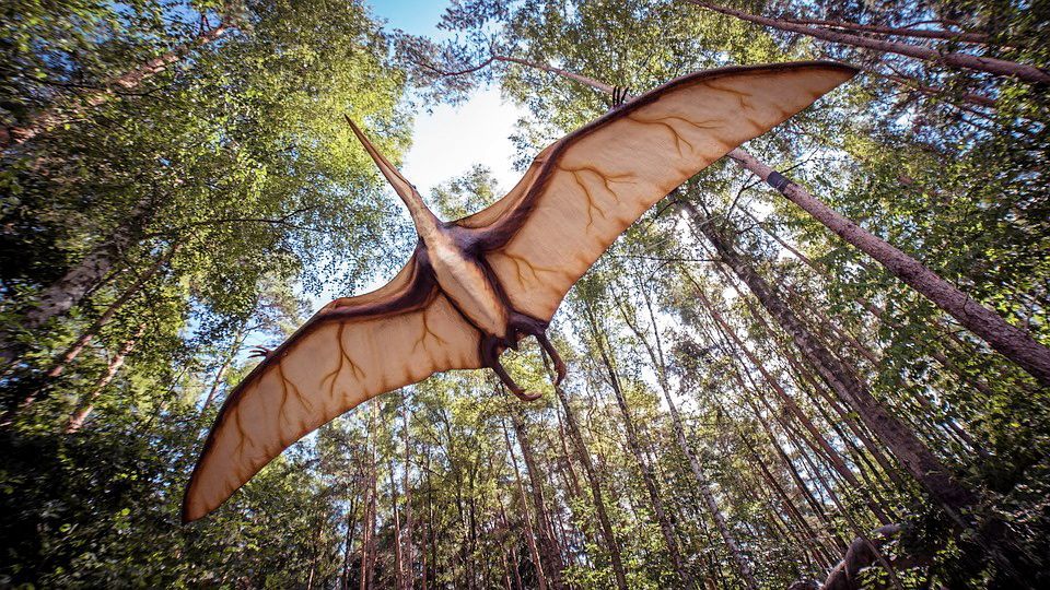 How the largest flying dinosaurs supported their huge necks |  Science |  News |  The sun
