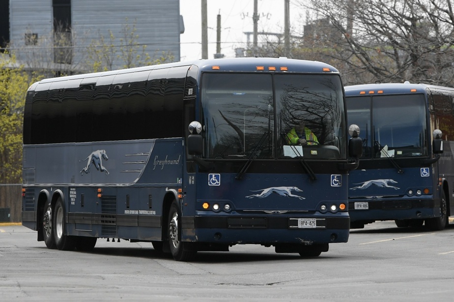 Greyhound suspends operations in Canada permanently