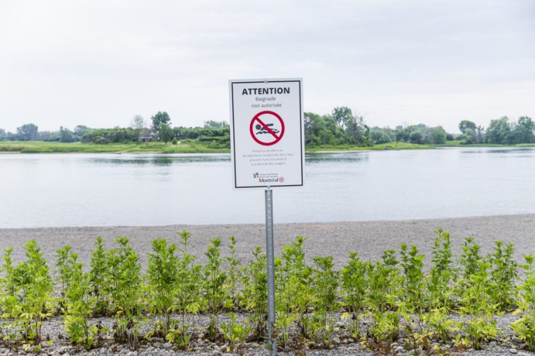 East Beach Opening Without A Chance To Swim