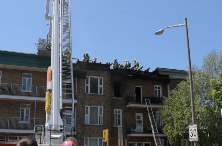 [IMAGES] Violent fire in Limoyilou: More than 60 firefighters called on the spot