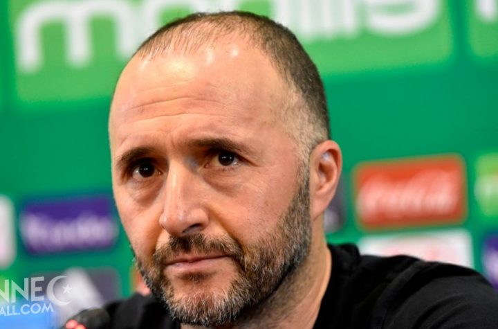 Jamel Belmadi, the "happy minister" who wants to keep Algeria - TSA