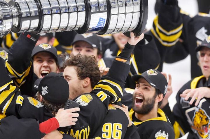 Tigers Champions |  Quebec Journal