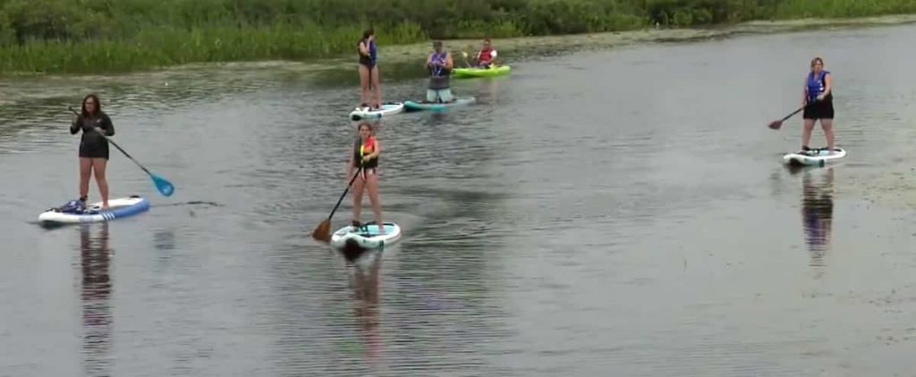 A marsh threatened with the popularity of kayaking in Magog