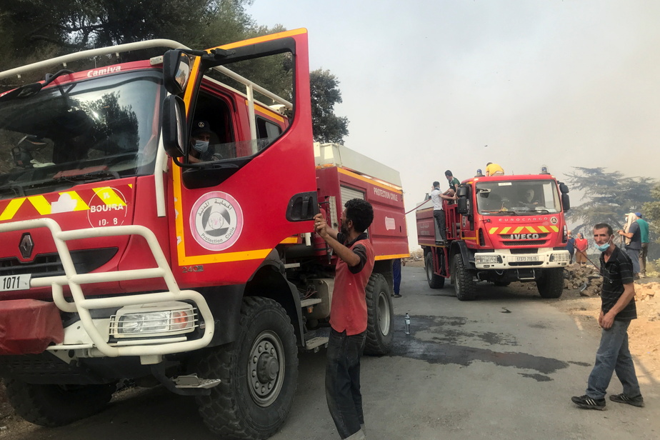 Wildfires in Algeria Firefighters continue their fight, toll is rising