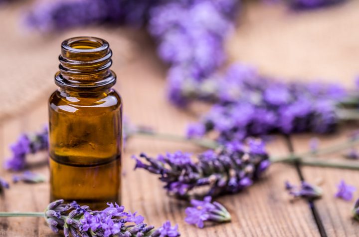 Lavender Oil Endocrine Destroyer?