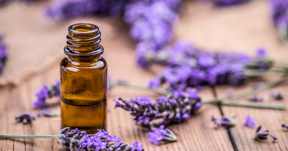 Lavender Oil Endocrine Destroyer?