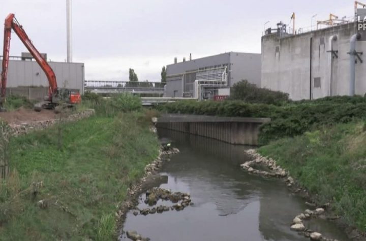 Brussels has rediscovered its beloved river, the future "Green Corridor"