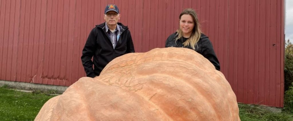 From here the 2006 pound pumpkin holds the country record