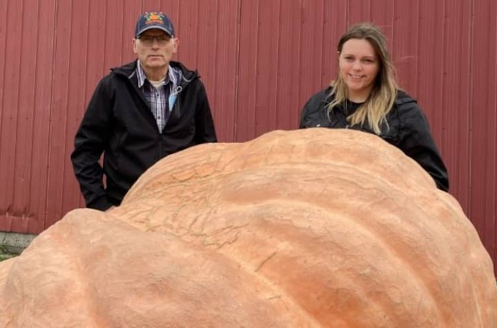From here the 2006 pound pumpkin holds the country record