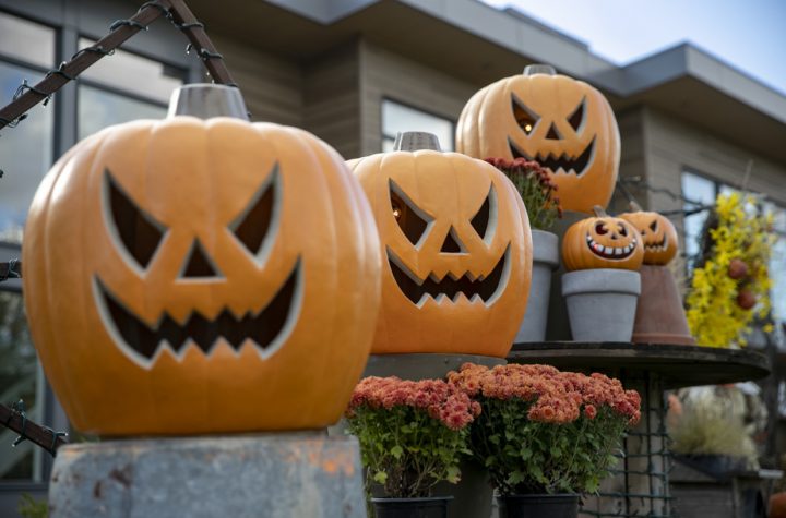 Quebec publishes a series of instructions for Halloween