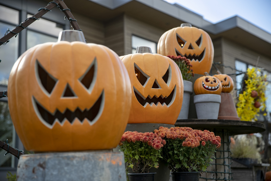Quebec publishes a series of instructions for Halloween